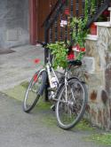Bicicleta junto a geranios