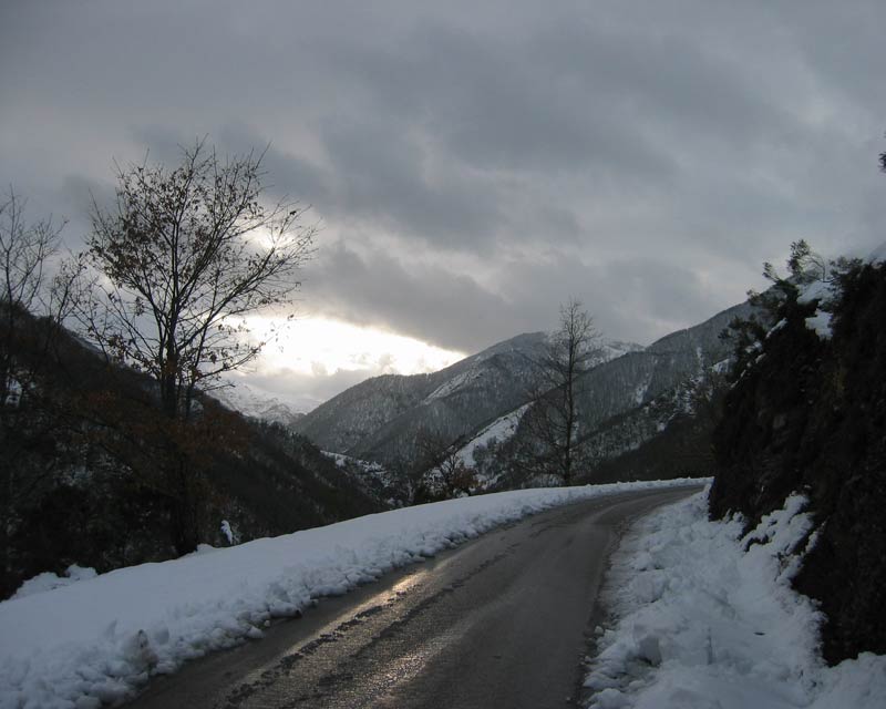 Bosque de Muniellos, nevado, desde la carretera