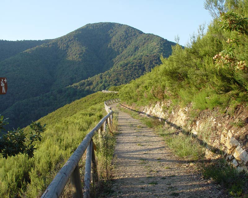 Mirador de `Los Cubaninos`