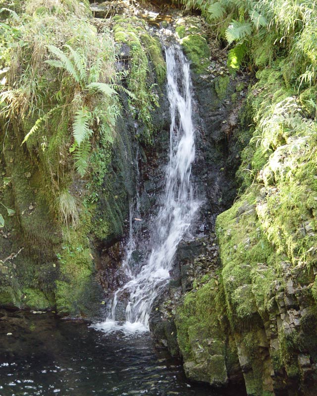 Salto del Palenque.