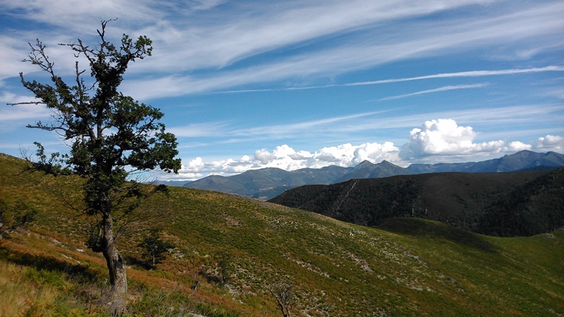 Monte de la Artosa