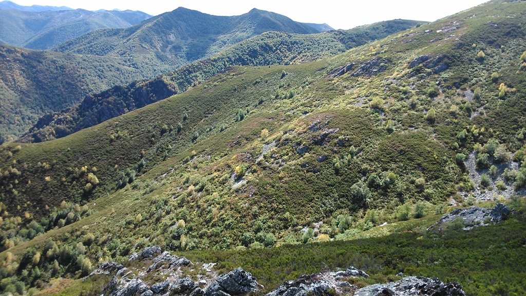 Monte de Cabreiro