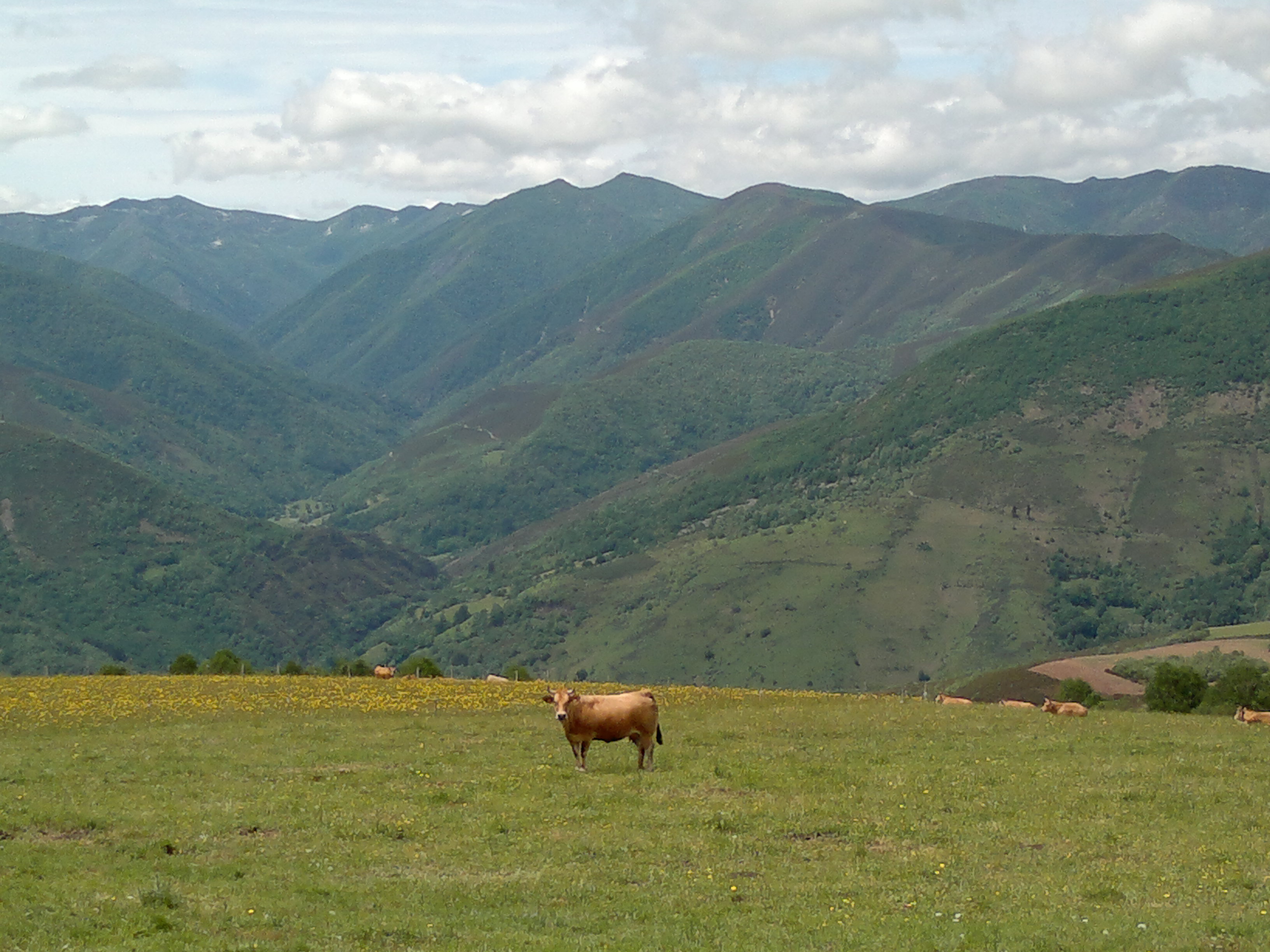 Muniellos y Moal desde la Ruta de las Hermitas